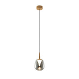 Andromeda LED Glass Pendant Light 5W 3000K - Gold & Chrome & Frosted