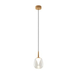 Andromeda LED Glass Pendant Light 5W 3000K - Gold & Clear & Frosted