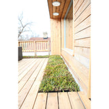 Aneto Outdoor LED Flush Ceiling Light 24W 4000K - White