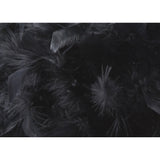 Arqus Feather Lampshade - Black, 25 x 18cm