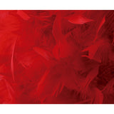 Arqus Feather Lampshade - Red, 25 x 18cm