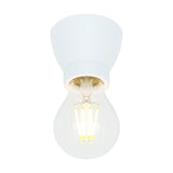 Baltimore Flush Ceiling Light