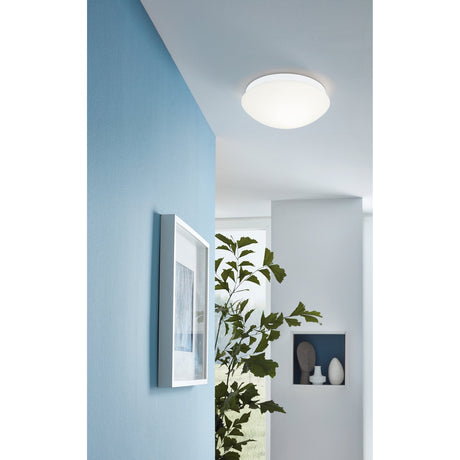 Bari-M flush ceiling light with round opal glass shade and white base, shown on a hallway ceiling above a blue-walled interior with artwork and plants.