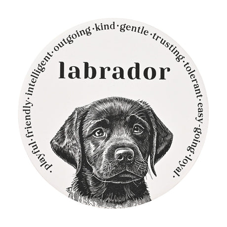 Round white matt ceramic coaster featuring a black sketch-style Labrador puppy, the word "labrador" above, and a ring of traits like playful, kind and loyal around the edge.