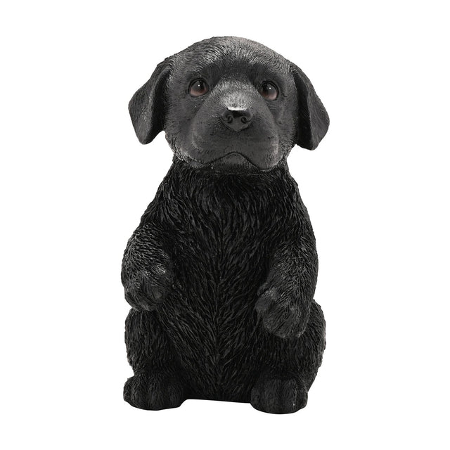 Black resin Labrador puppy figurine, 16cm, sitting up with both front paws raised and floppy ears, textured fur finish, shown on a plain white background.