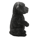 Side view of the Sitting Up Labrador Puppy Resin Figurine in black, 16cm, seated upright with front paws raised, textured fur finish, on a plain white background.