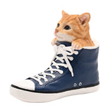 Kitten in a Lace-Up Trainer Resin Figurine - Blue & Orange
