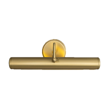 Belfast Brass Picture Light, a 50.5cm brass wall light with a long tube hood on a swan neck arm and round wall plate, shown on a plain white background.