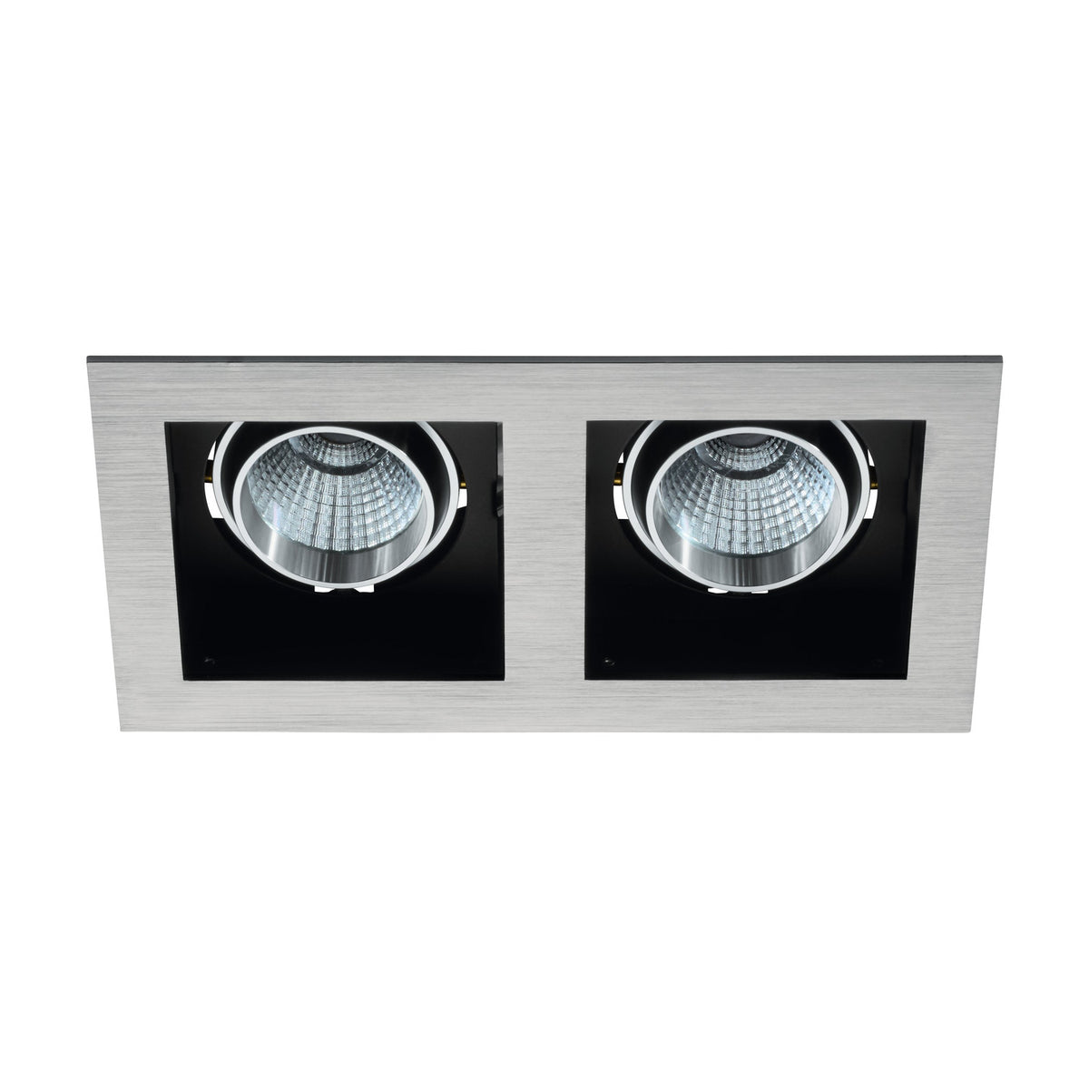 Biscari LED Downlight