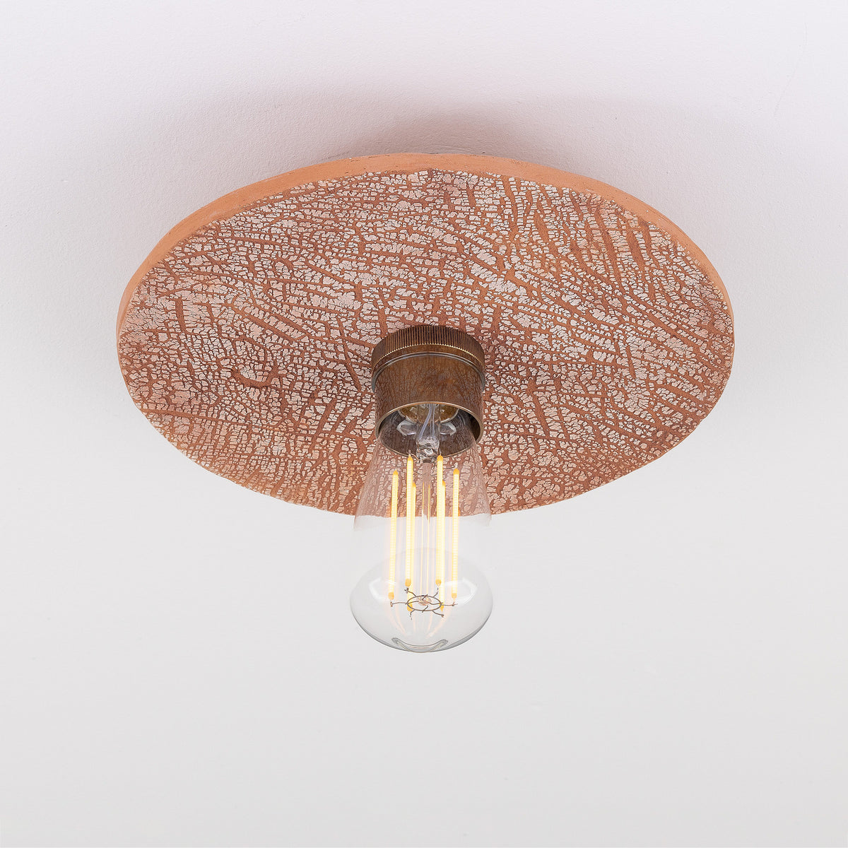 Bog Oak Ceramic Ceiling Light - Red Iron