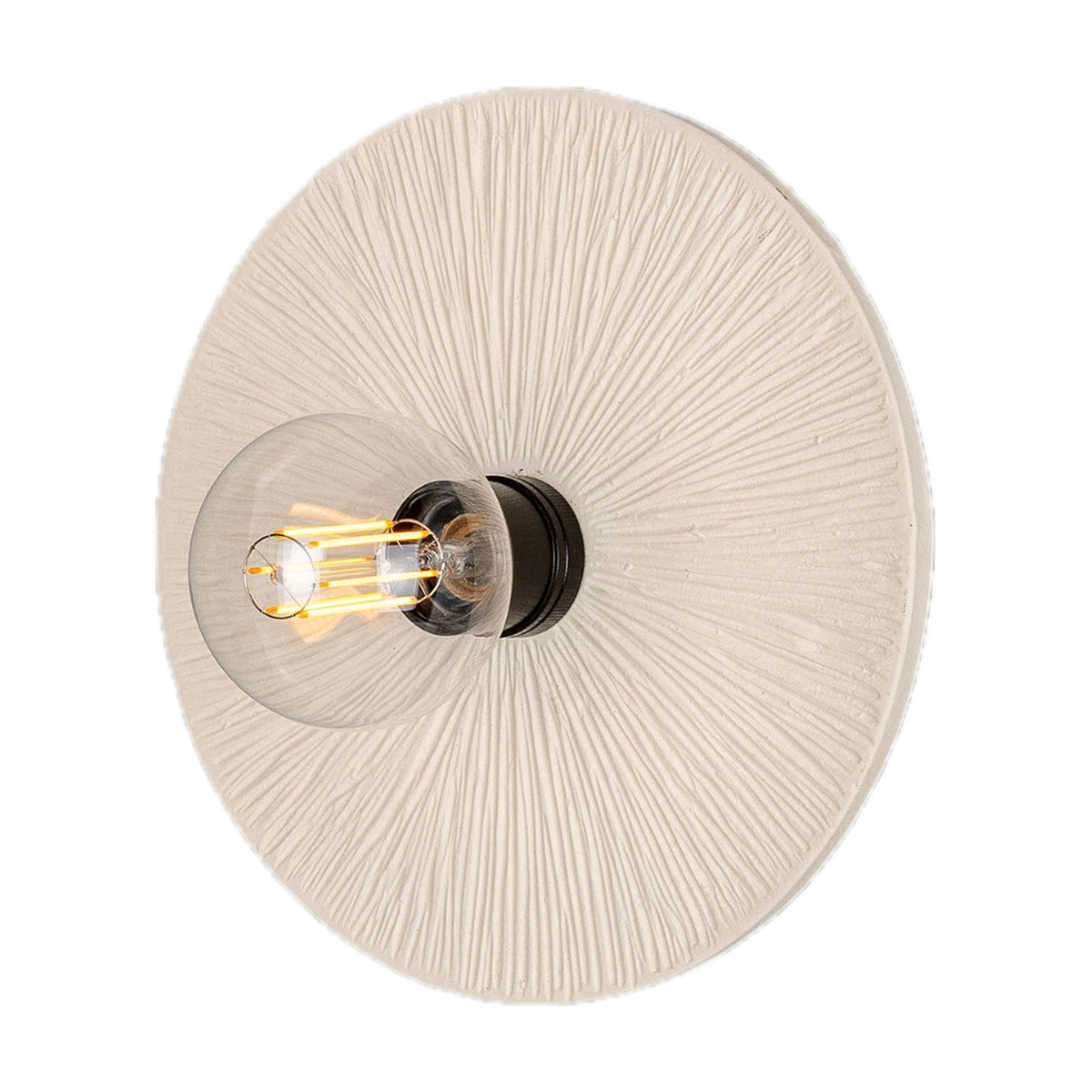 Bog Oak Ceramic Wall Light - Matt White Striped
