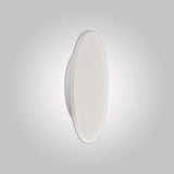 Bora 38cm Oval LED Ceiling/Wall Light 30W 3000K - Matt White