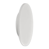 Bora 38cm Oval LED Ceiling/Wall Light 30W 2700K - Matt White