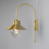 Boyd 1 Arm Brass Swan Neck Wall Light