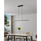 Branessa Smart Colour Changing 2 Light Pendant - Black