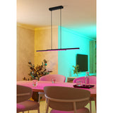 Branessa Smart Colour Changing 2 Light Pendant - Black