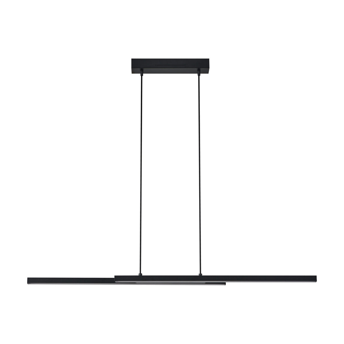 Branessa Smart Colour Changing 2 Light Pendant - Black