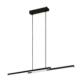 Branessa Smart Colour Changing 2 Light Pendant - Black