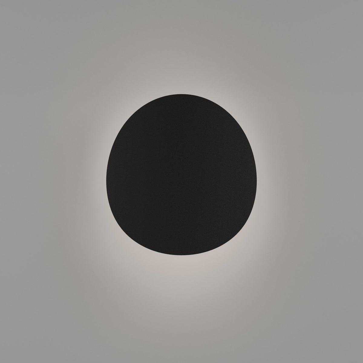 Briale LED Outdoor Wall Light - Black & White
