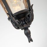 A close-up of a decorative metal light fixture that resembles a weathered bronze lantern, featuring intricate leaf designs and glass panes. The vintage finish with dark bronze tones and highlighted edges is similar to the Baltimore 1 Light Outdoor Large Chain Pendant - Weathered Bronze, displayed gracefully against a white backdrop.