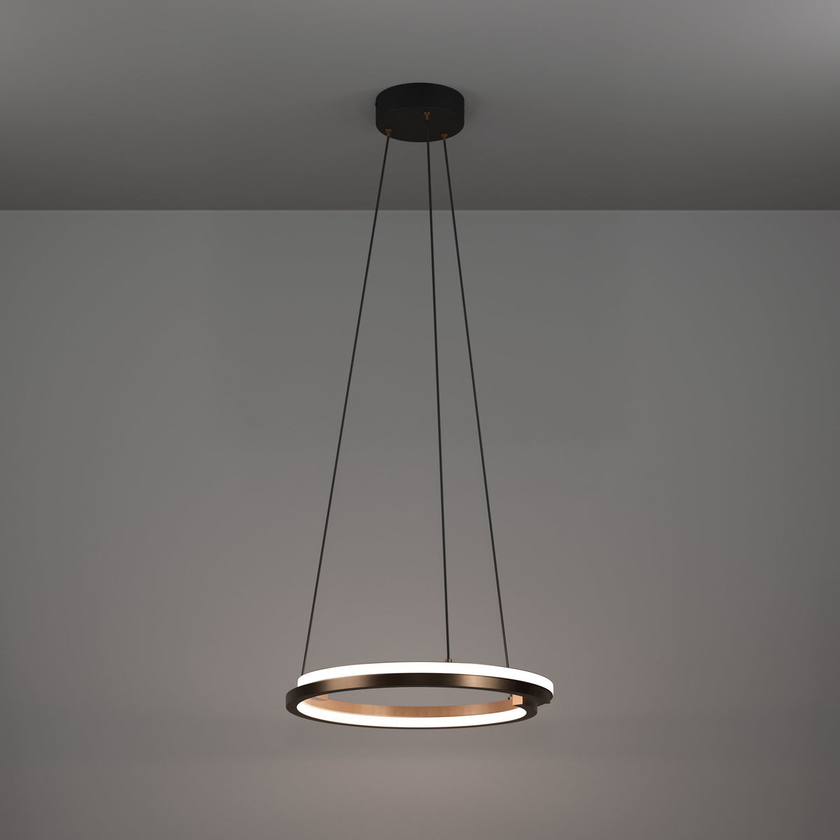 Carmanne Pendant Light - Bronze & Black