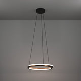 Carmanne Pendant Light - Bronze & Black