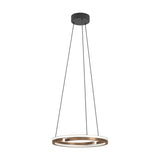 Carmanne Pendant Light - Bronze & Black