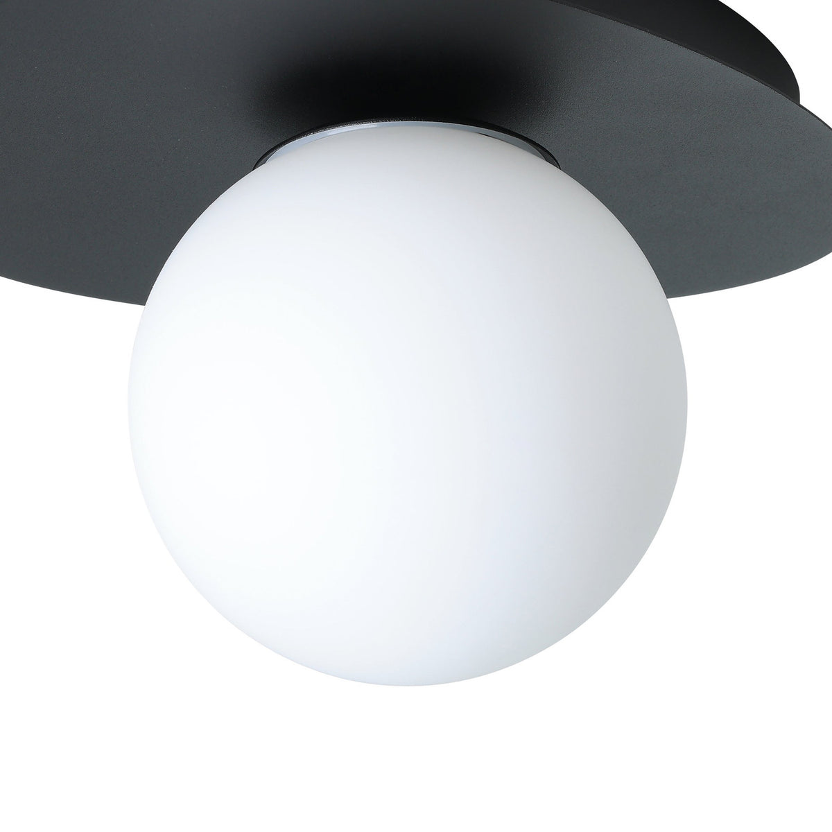 Castrovido Bathroom Wall Light in black steel with a pebble-shaped backplate and single off-centre matt opal glass globe, G9 fitting, shown close-up on a plain background.