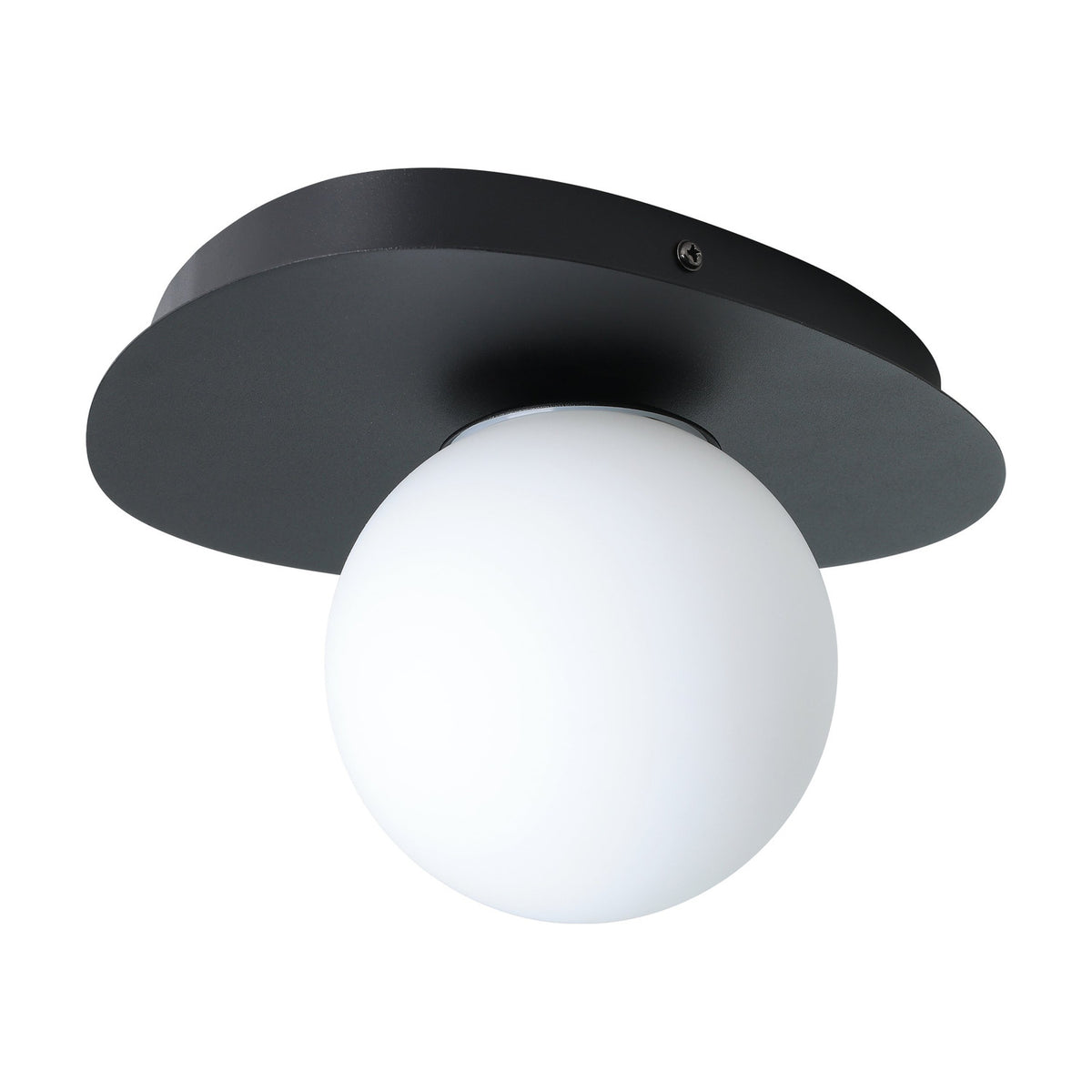 Castrovido Bathroom Wall Light in black steel with a pebble-shaped backplate and an off-centre matt opal glass globe, shown on a plain white background.