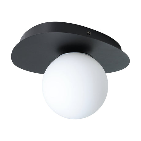 Castrovido Bathroom Wall Light in black steel with a pebble-shaped backplate and an off-centre matt opal glass globe, shown on a plain white background.