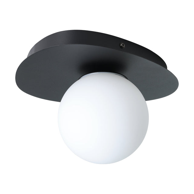 Castrovido Bathroom Wall Light in black steel with a pebble-shaped backplate and an off-centre matt opal glass globe, shown on a plain white background.
