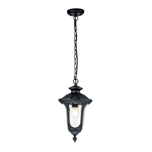 The Chicago Outdoor 1 Light Small Chain Pendant in black features a vintage-style design with ornate detailing and a clear seeded glass enclosure. This metal outdoor pendant light hangs elegantly from a chain, showcasing a visible light bulb inside that adds a classic touch and vintage charm to any setting.