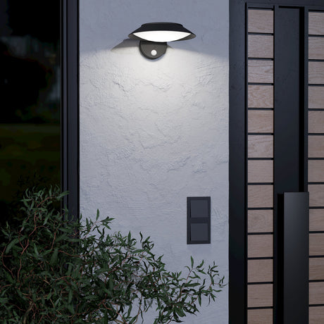 Cerrisi Solar Wall Light with Motion Sensor - Black & White