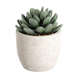 Chitose Artificial Plant 11cm - Green & Grey