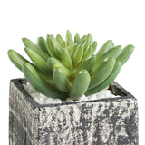 Chitose Artificial Plant - Light Grey & Green