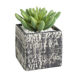 Chitose Artificial Plant - Light Grey & Green