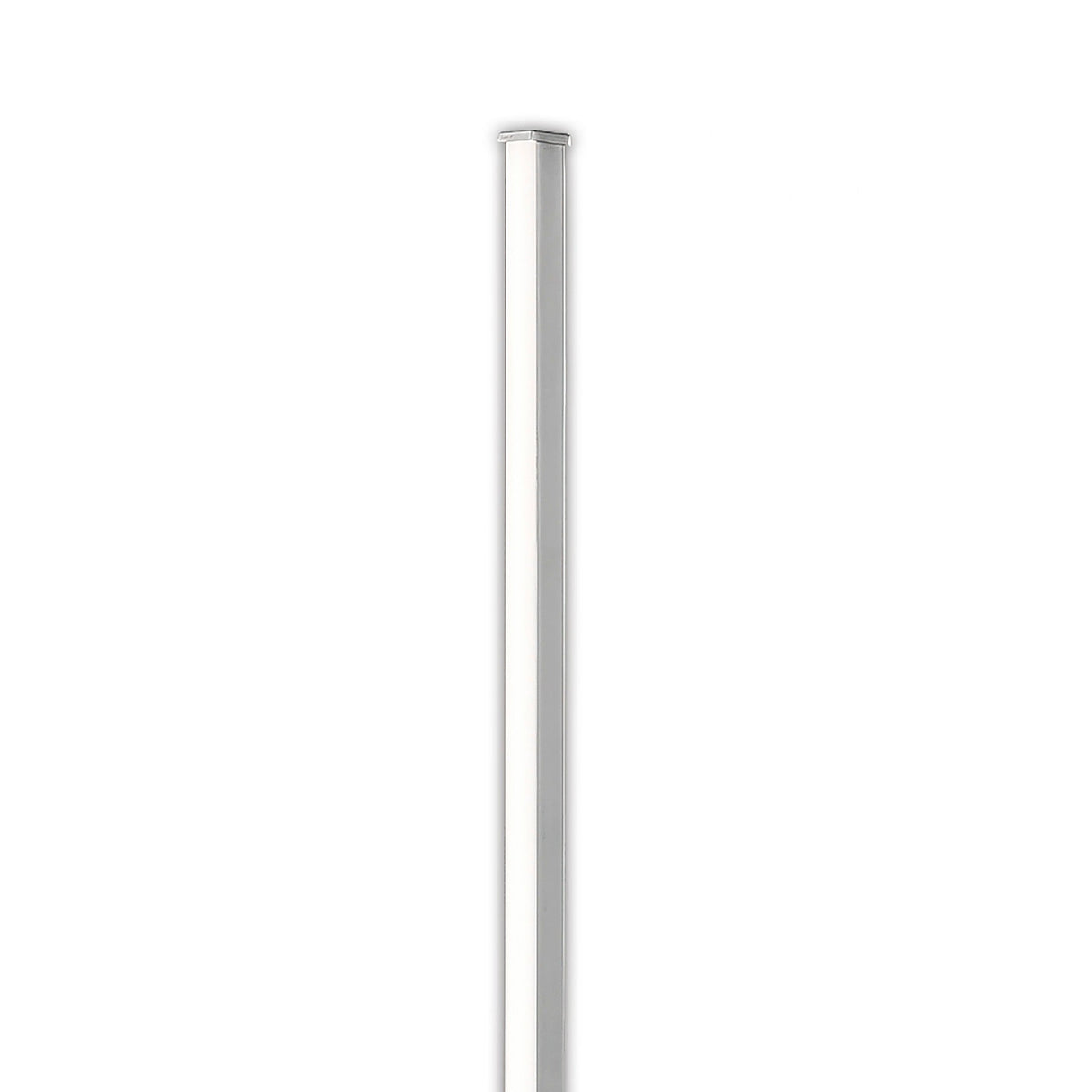 Cinto LED Wall Light 12W 3000K - Polished Chrome
