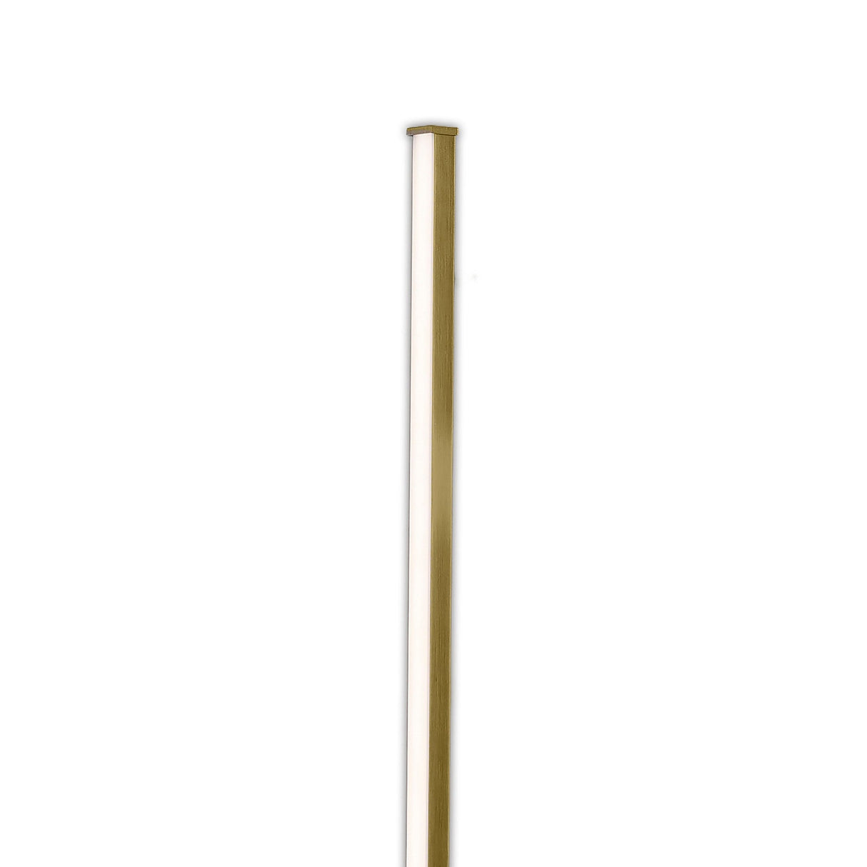 Cinto LED Wall Light 6W 3000K - Antique Brass