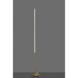 The Cinto Dimmable LED Floor Lamp 20W 3000K in antique brass features a slim profile, square base with ring detail, and is ideal for contemporary spaces, shown here against a plain gray background.