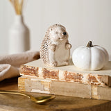 Hedgehog and Pumpkin Glazed Ceramic Salt & Pepper Set - White