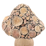Log Slice Cap Wood Effect Mushroom Ornament 20.6cm - Brown