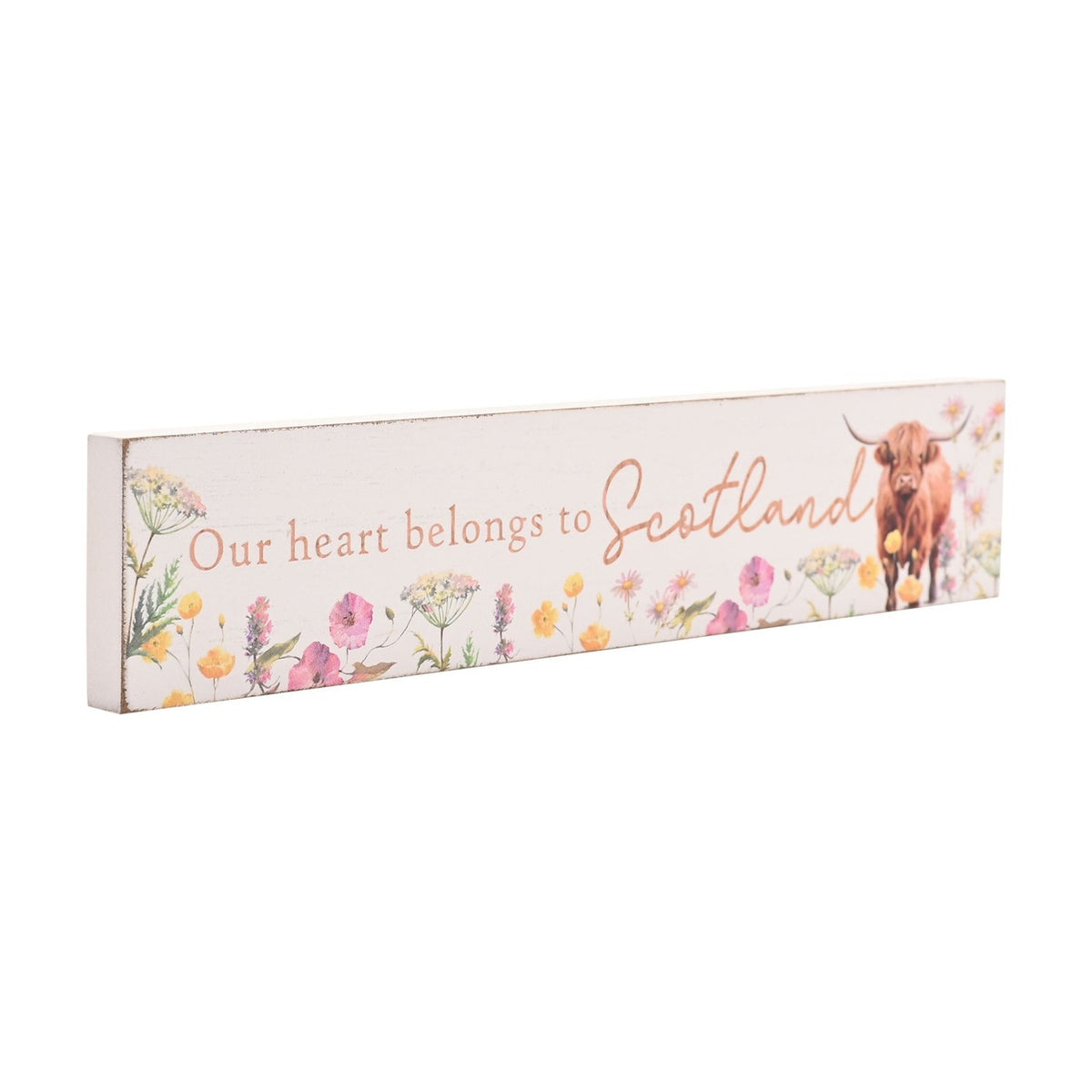 Our Heart Belongs to Scotland Highland Cow Plaque 20cm - White
