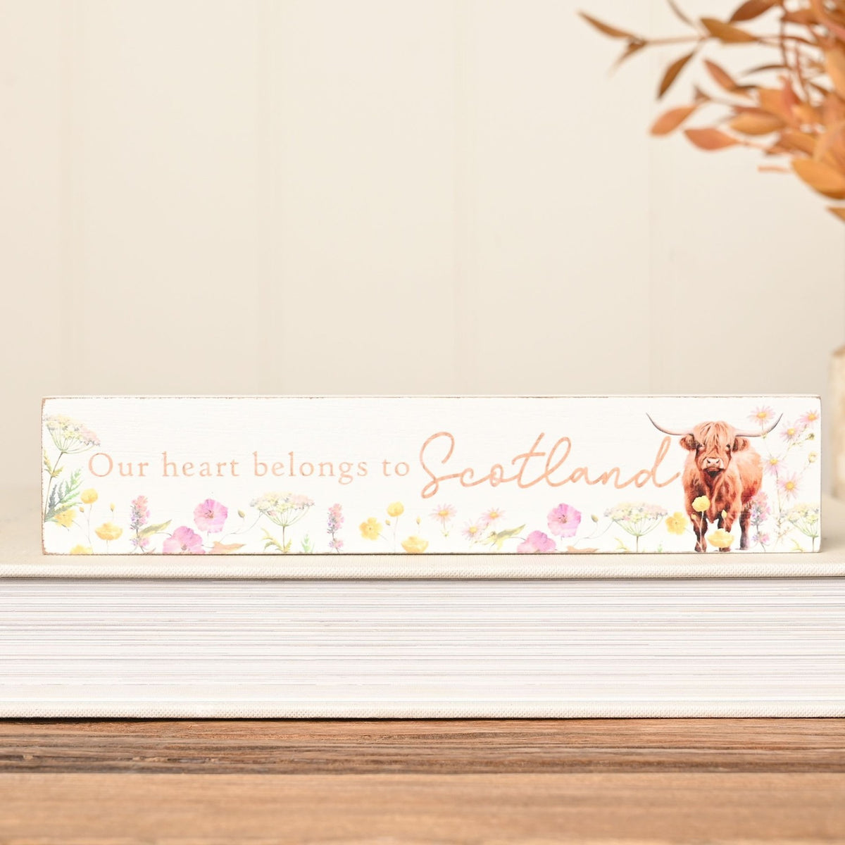 Our Heart Belongs to Scotland Highland Cow Plaque 20cm - White