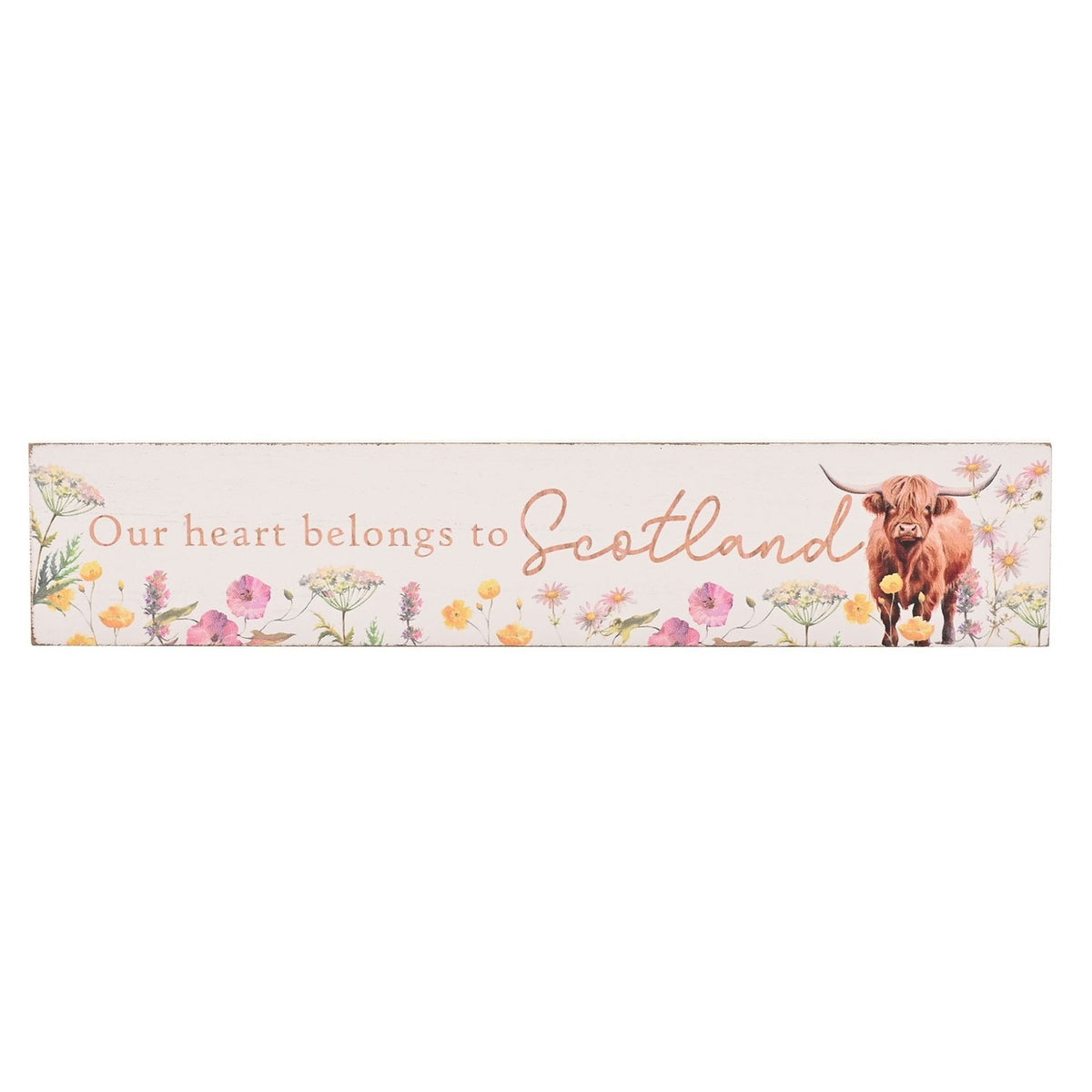 Our Heart Belongs to Scotland Highland Cow Plaque 20cm - White