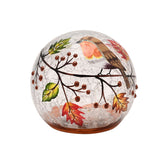 Autumn Robin LED Plastic Orb Light-Up Decoration - Clear