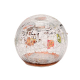 Autumn Robin LED Plastic Orb Light-Up Decoration - Clear