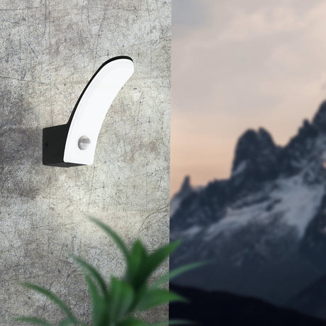 Clesmane LED Outdoor Wall Light with Motion Sensor - Black
