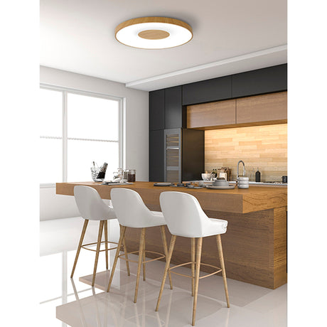 Coin Large Round CCT LED Flush Ceiling Light With Remote Control - Brown