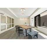 Coin Large Round CCT LED Flush Ceiling Light With Remote Control - Brown