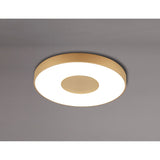Coin Medium Round CCT LED Flush Ceiling Light With Remote Control - Gold